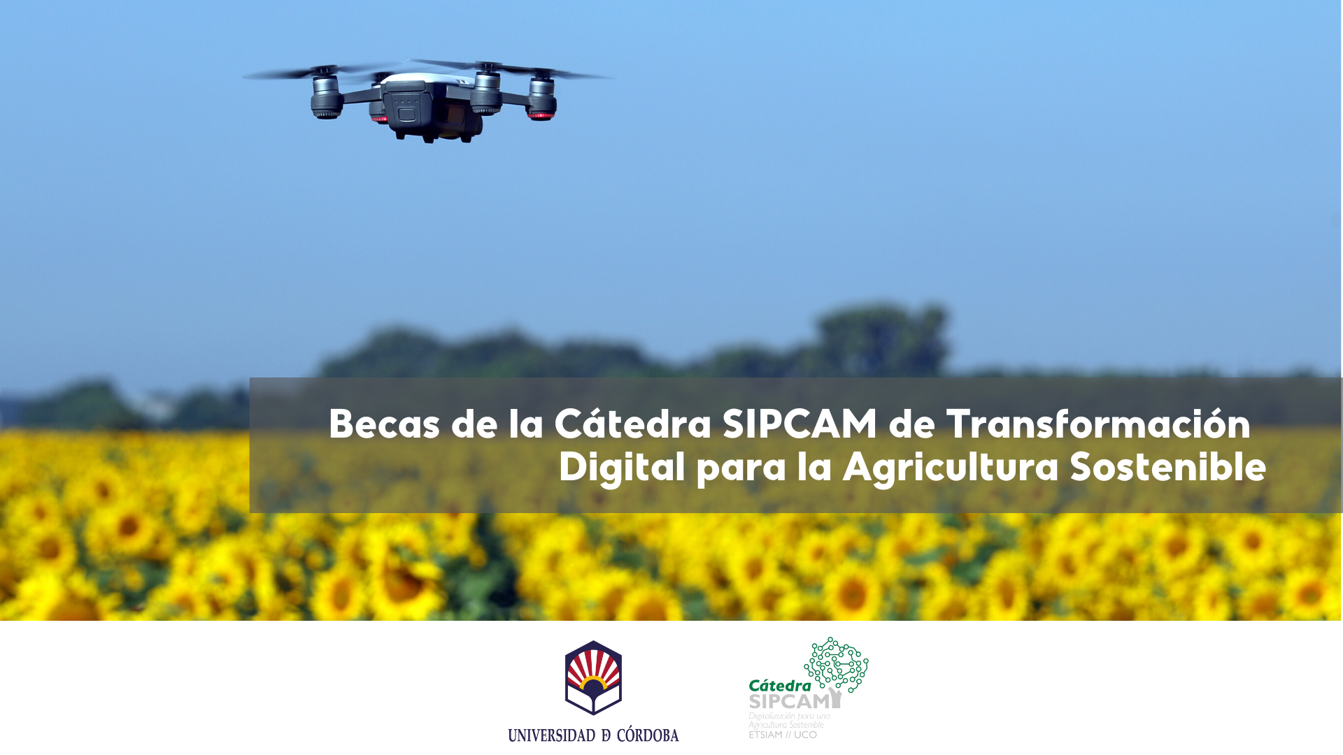 Becas Cátedra SIPCAM de Transformación Digital para la Agricultura Sostenible de la UCO 2022-2023